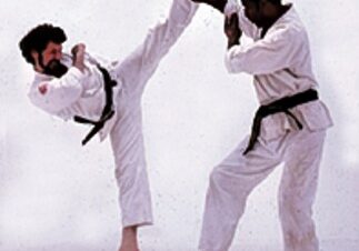 Sky high kick