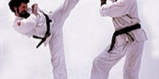 Sky high kick